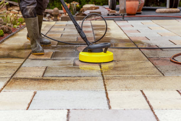 Animal Enclosure Cleaning in Pendleton, IN
